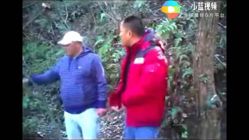 深林公園監控拍攝 一場突如其來的性愛